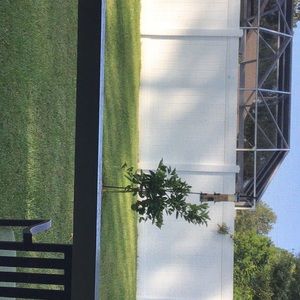 Meet your Posher, Debra